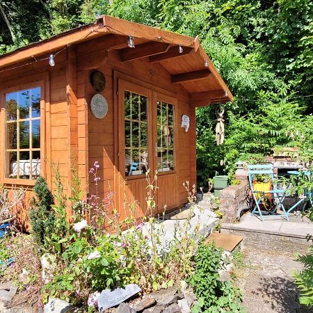 Tan Y Coed'S Rosemary Cabin Conwy Kültér fotó