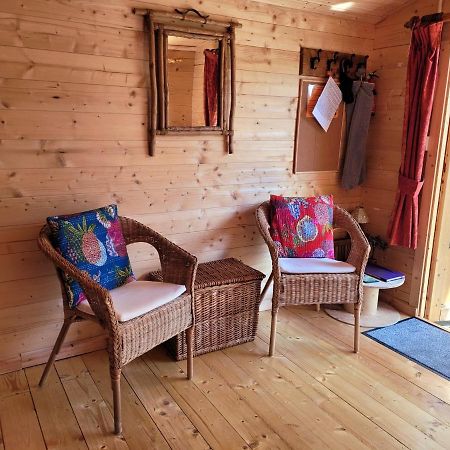 Tan Y Coed'S Rosemary Cabin Conwy Kültér fotó