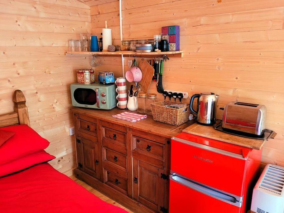 Tan Y Coed'S Rosemary Cabin Conwy Kültér fotó