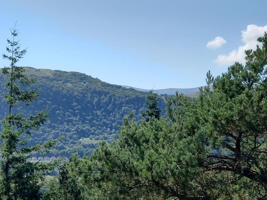 Tan Y Coed'S Rosemary Cabin Conwy Kültér fotó