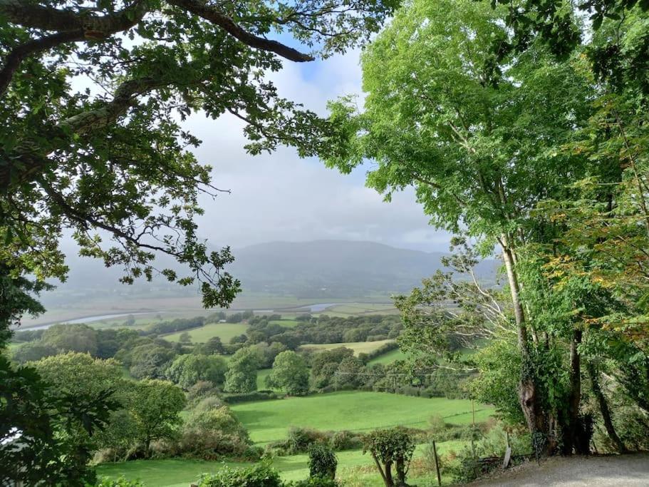 Tan Y Coed'S Rosemary Cabin Conwy Kültér fotó