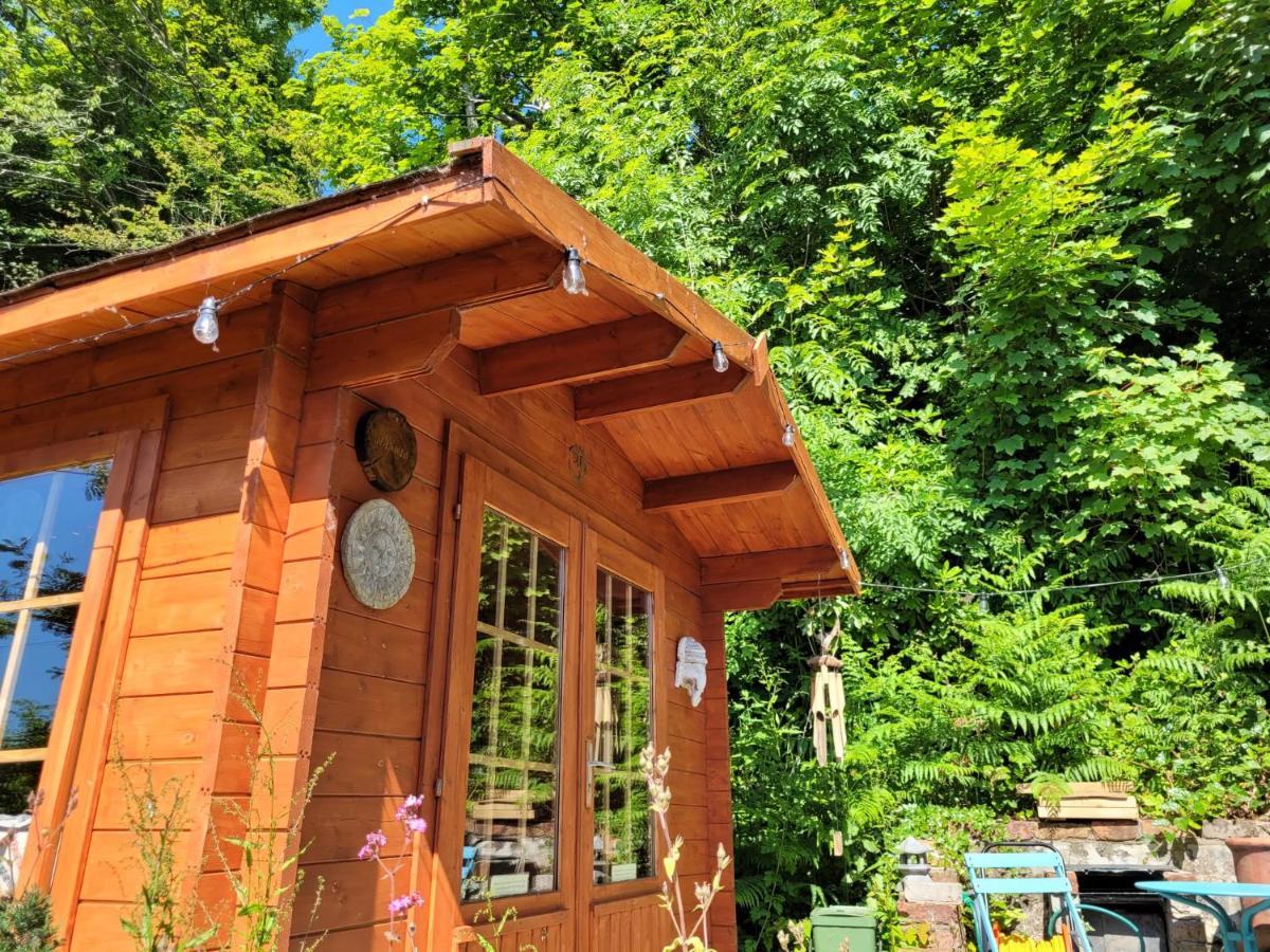 Tan Y Coed'S Rosemary Cabin Conwy Kültér fotó